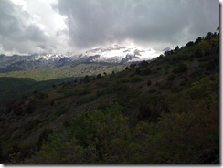 IMG_0081